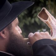 ȘOFARUL (Roș Hașana 5769) rosh-hashana-5769