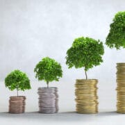INVESTESC DECI AM (Haiei Sara 5770) haiei-sara-5770-v2