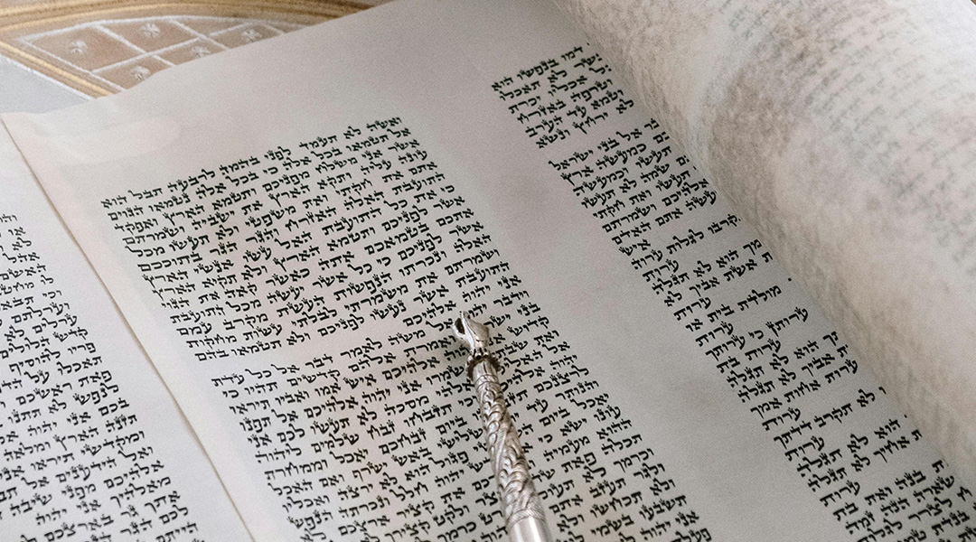 THE NEW BOOK OF THE TORAH (Balak 5775)