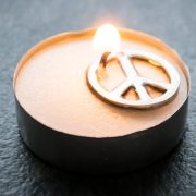 THE COVENANT OF PEACE (Pinchas 5776) pinhas-5776-v3