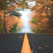 THE ROAD TO HEALING (Matot-Masei 5779) matot-masei-5779-v3