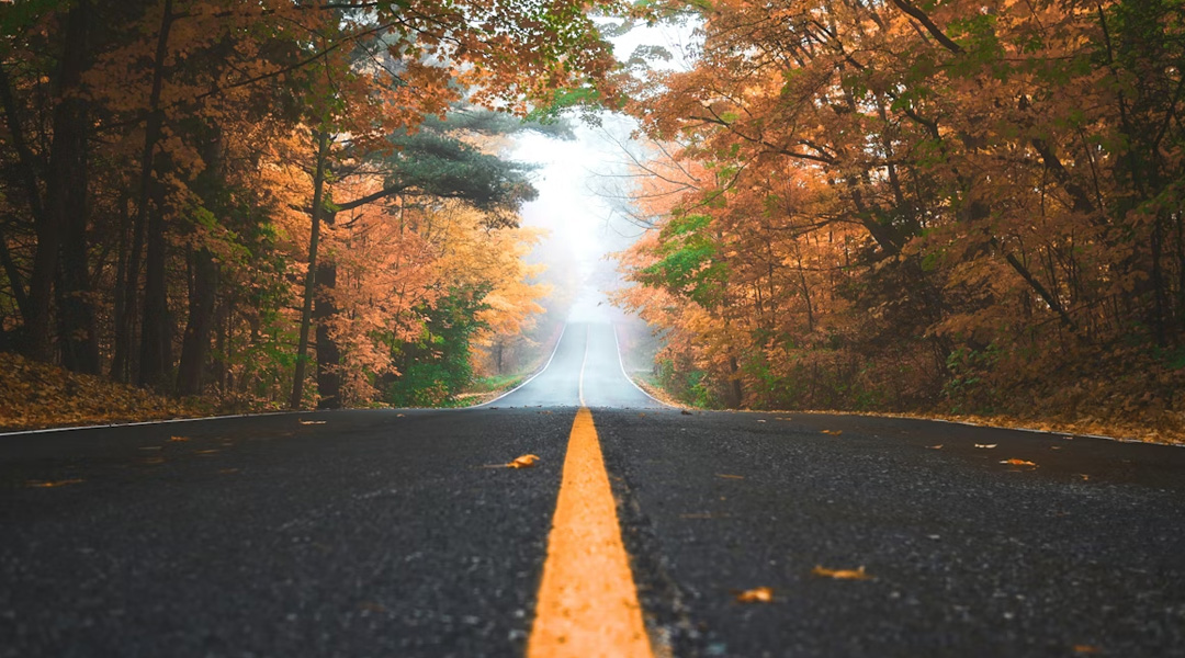 THE ROAD TO HEALING (Matot-Masei 5779)