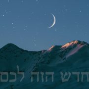 ANUL NOU AL REGILOR (Vaikra - Roș Hodeș Nisan 5786) vaikra-5786